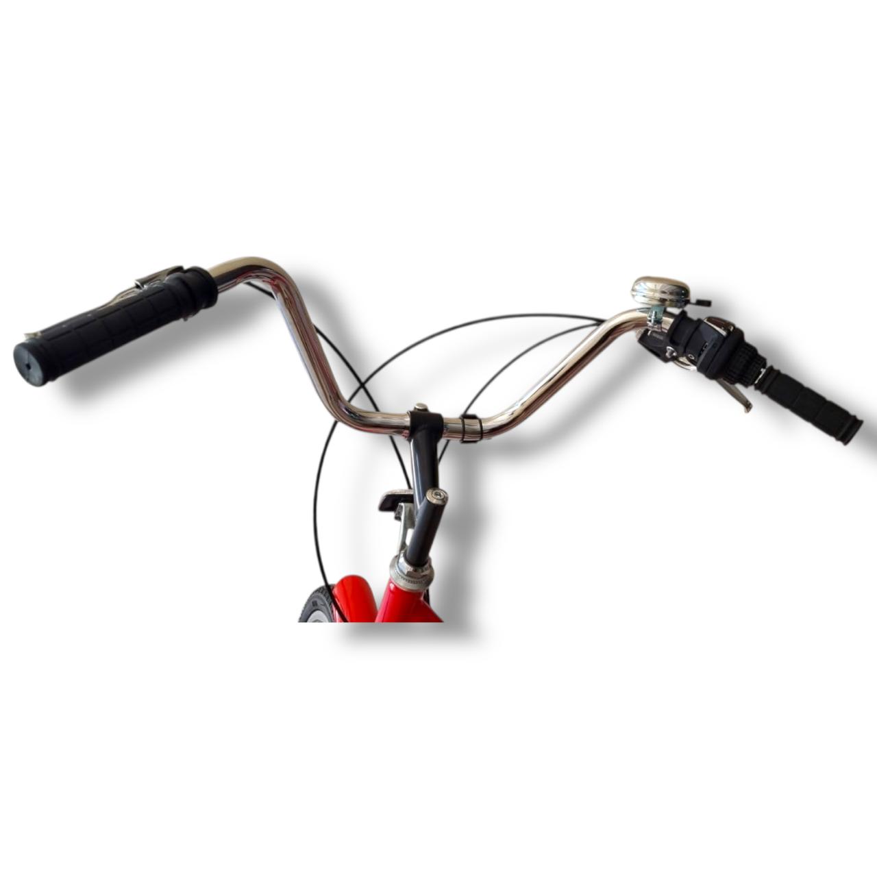 Tricicleta para adultos