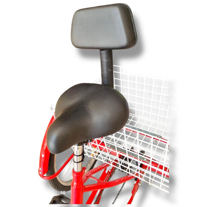 Tricicleta para adultos