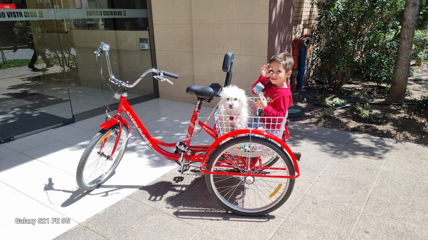 Tricicleta para adultos