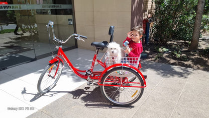 Tricicleta para adultos